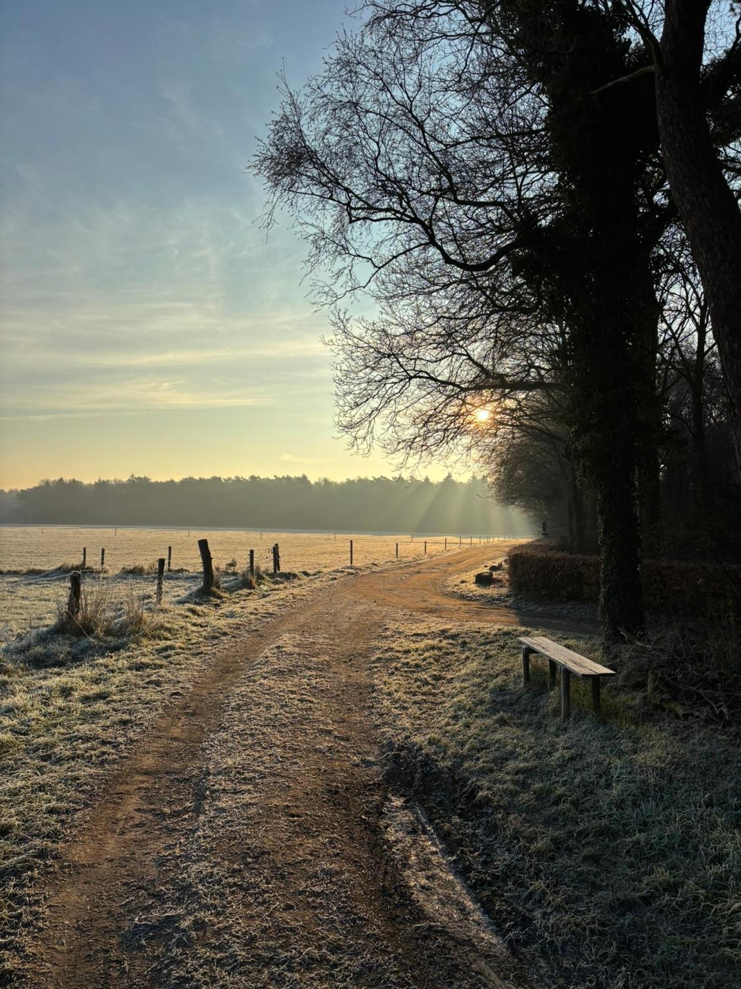 'T Holten Huus - Puur Genieten In Het Bos. Norg Exteriér fotografie